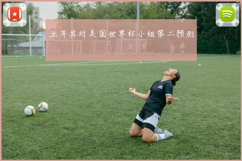 土耳其对美国世界杯小组第二预测