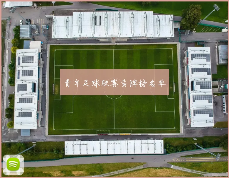 青年足球联赛黄牌榜名单