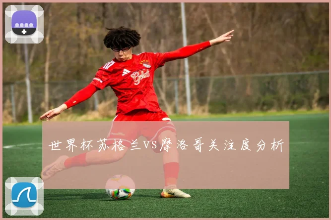 世界杯苏格兰vs摩洛哥关注度分析