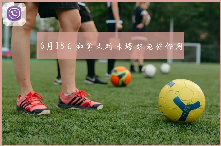 6月18日加拿大对卡塔尔老将作用