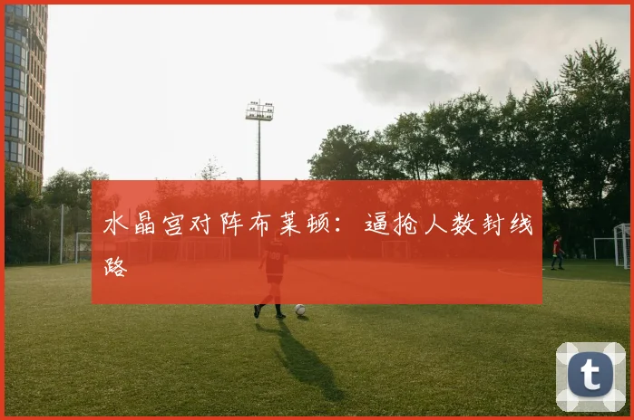 水晶宫对阵布莱顿：逼抢人数封线路