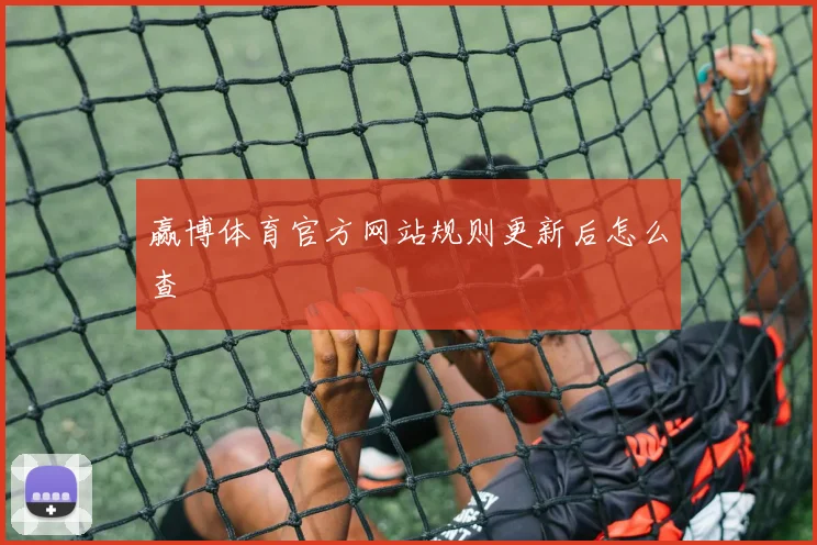 赢博体育官方网站规则更新后怎么查